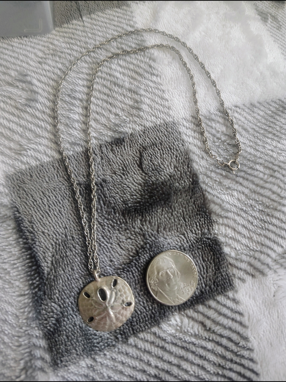 Sterling Silver Sand Dollar Pendant Necklace - White/Silver